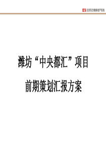 山东潍坊中央都汇项目前期策划汇报方案_167P