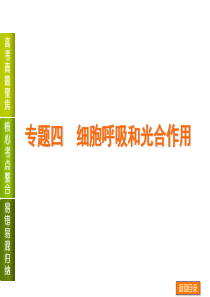 最新浙科版生物高考二轮专题四-细胞呼吸和光合作用