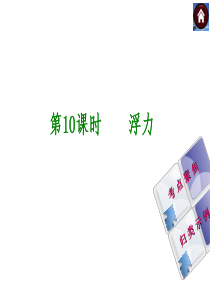 【最新―中考必备】(安徽专版)2014中考复习方案课件(皖考解读+考点聚焦+皖考探究)：第10课时-