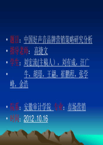 中国好声音营销分析