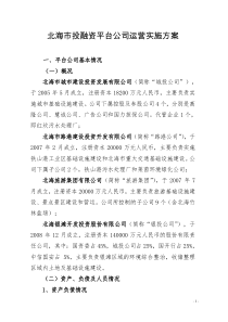 北海市投融资平台公司运营实施方案