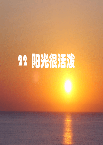 22《阳光很活泼》PPT课件