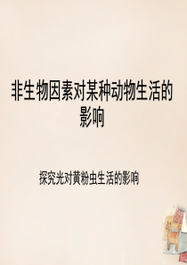 广东省汕头市龙湖实验中学七年级生物上册 1.2.1 生物与环境的关系 环境探究光对黄粉虫生活的影响课