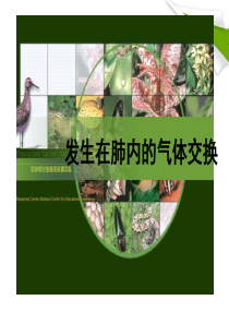 七年级生物上册_第二节_发生在肺内的气体交换课时2课件_人教新课标版