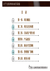 常州武进市天宁法院地块项目前期策划报告-96PPT