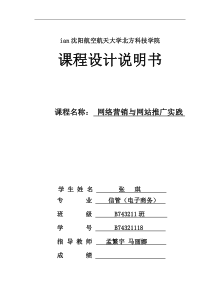 网络营销与网站推广课程设计报告1