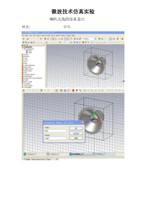 喇叭天线仿真的设计