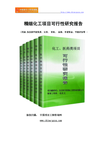 精细化工项目可行性研究报告范文格式(专业经典案例)