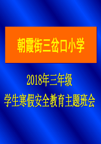 2013年寒假安全教育主题班会