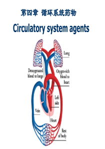 循环系统药物