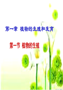 八年级生物_第一节_植物的生殖课件人教版