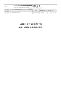 配液、灌封系统清洁验证报告