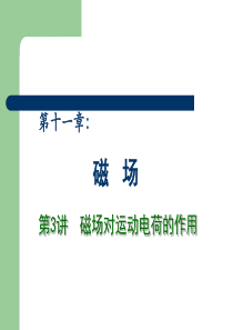 2013高中物理专题复习课件《磁场》 第3讲 磁场对运动电荷的作用