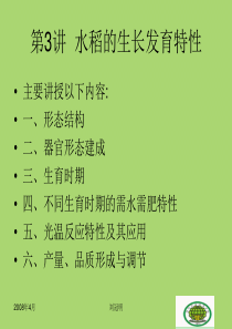 水稻的生长发育特性