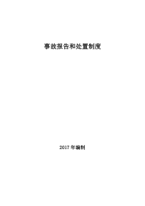 事故报告和处置制度