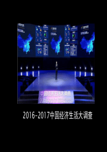 2016-2017中国经济生活大调查