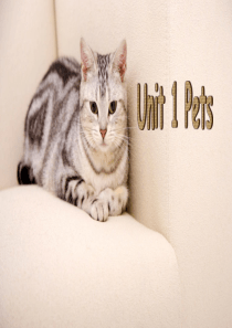 外研社小学英语_三年级下册 Unit1 pets