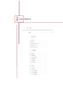 广告策划书及独一无二的模版、排版