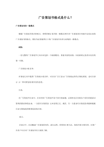 广告策划书格式是什么(doc17)(1)