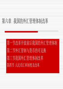 第六章我国外汇管理体制改革