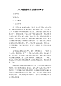 2019财务会计实习报告3000字