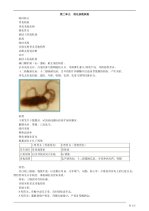 内科学-消化系统疾病