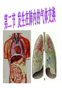 七年级生物发生在肺内的气体交换课件人教版