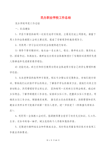 民办职业学校工作总结(多篇)