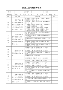 新员工试用期考核表