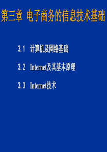 第三章电子商务的信息技术基础