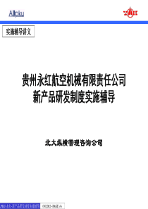 北大纵横-永红-新产品研发制度实施辅导报告