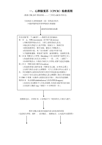 院内抢救流程新(最新)