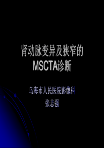 肾动脉的MSCTA诊断