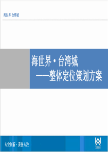 广西防城港大型滨海项目台湾城整体定位策划方案_159PPT