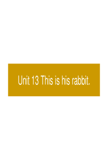 A-U13【This-is-his-rabbit】