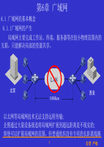 计算机网络第6章-广域网