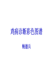 禽病诊断图谱