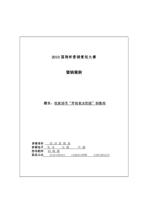 开拓者太阳能活动策划方案完整