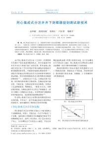 同心集成式分注井井下封隔器验封测试新技术-塔里木石油与天然气