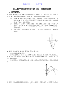 初中数学中考复习专题-代数综合题及答案