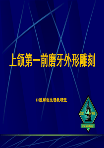 上颌第一前磨牙外形雕刻