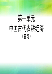 高中历史岳麓版必修二第一单元复习课件