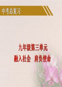 九年级政治中考总复习九年级第三单元《融入社会肩负使命》课件人教版