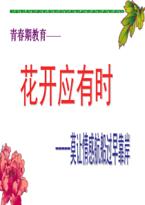 《预防早恋》主题班会