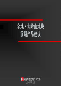 合富辉煌-金地东莞大岭山地块前期产品建议80页