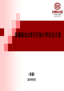 新疆新旭10月区域小型活动方案-车展1.ppt