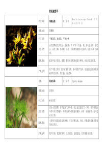 【表格】常用观赏草