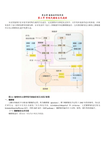 糖酵解-三羧酸循环最全总结