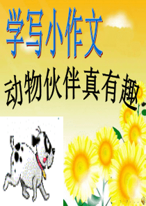 金鱼作文.ppt