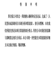 成都市成彭路项目市调分析和策划案(PDF40)